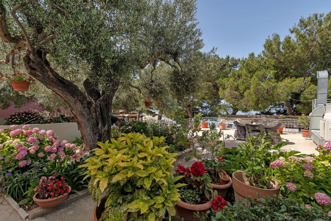 Central Beach Apartments Tučepi Dış mekan fotoğraf